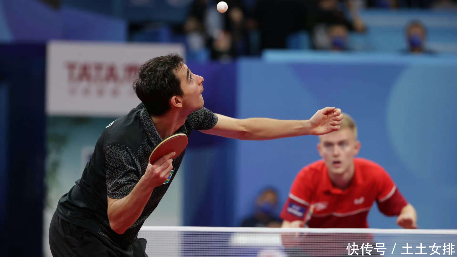 能在各种赛 能在各种赛